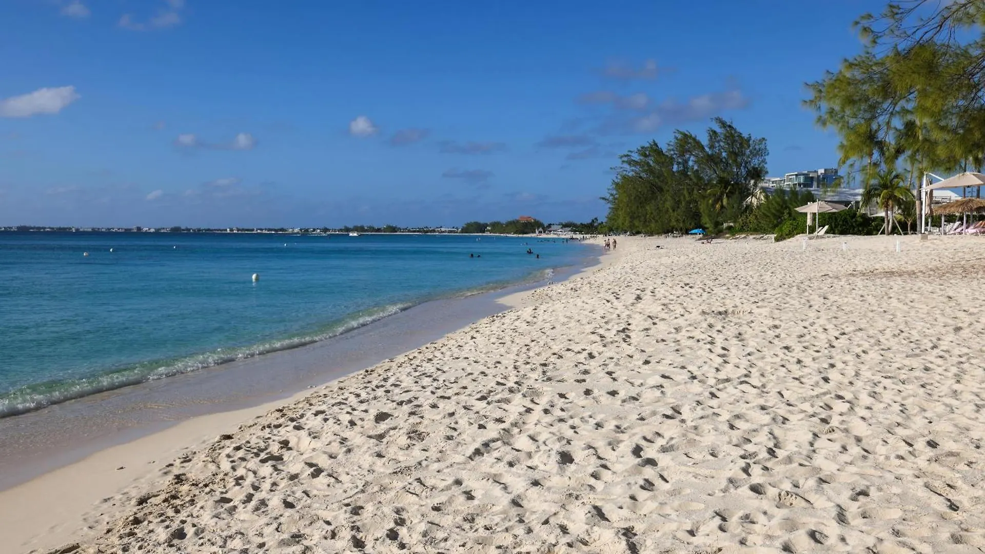 Luxury 1 Bed Apartment Near Seven Mile Beach At The Grove West Bay