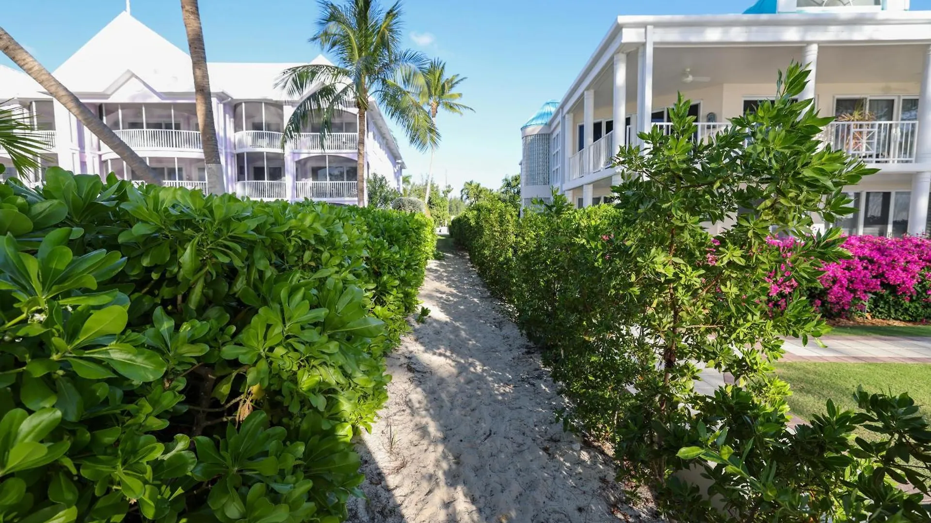 Luxury 1 Bed Apartment Near Seven Mile Beach At The Grove West Bay 0*,